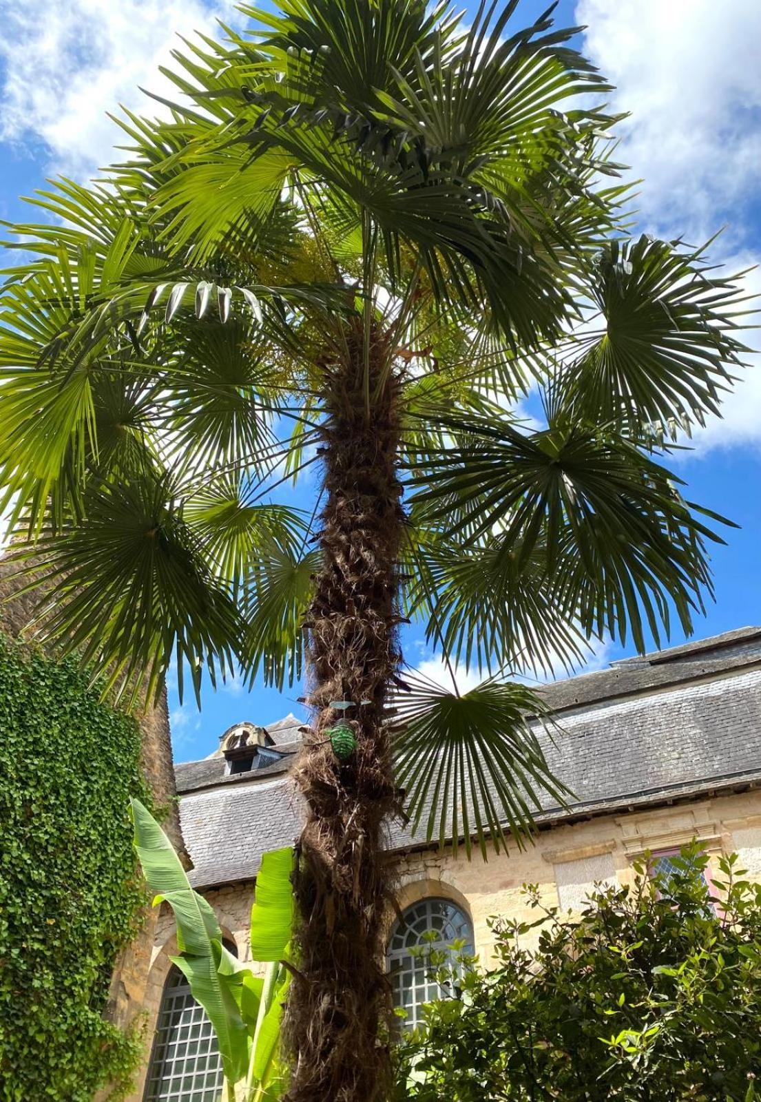 La Villa Des Consuls - Gite De Tourisme De Charme Sarlat-la-Canéda Dış mekan fotoğraf
